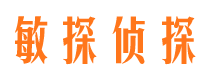 兴山侦探公司